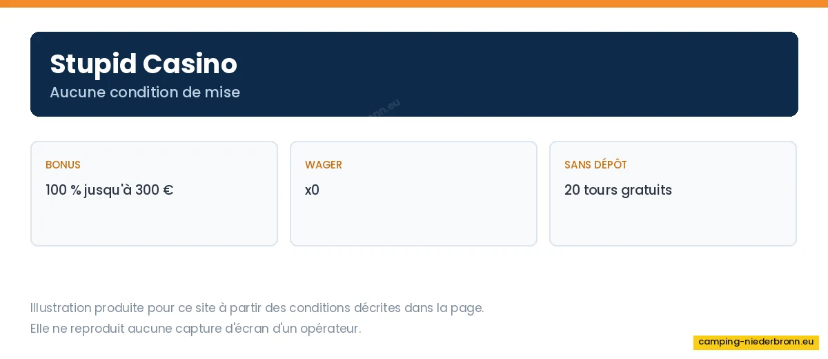 Illustration des conditions sans wager de Stupid Casino